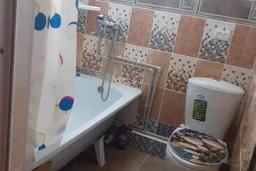 پانسیون алтынай