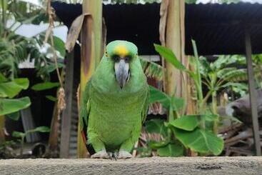 カプセルホテル Mamacita Café House