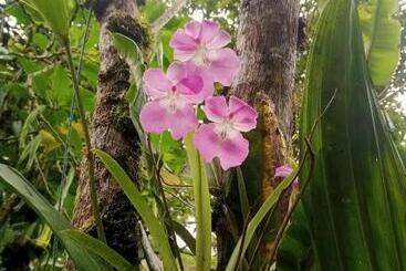 리조트 Los Angeles Junín