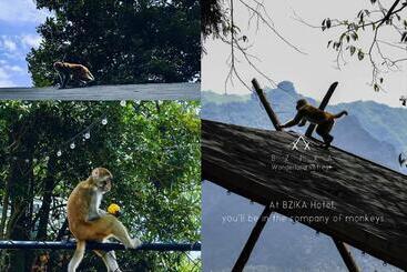 Отель Bzika Wonderland Retreat  Zhangjiajie National Forest Park Store