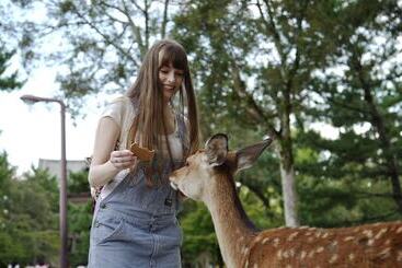 Centurion Hotel Classic Nara Station