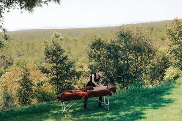 Bed and Breakfast Domaine Monte Verdi