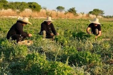 酒店 Dimora Delle Balze