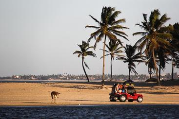 ユースホステル Freedom Kite House