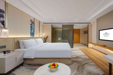 Отель Howard Johnson By Wyndham Huaqiao Plaza Xinyu
