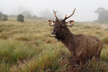 Отель Southern View Holiday Resort