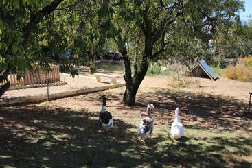 مبيت وإفطار Merindol Manor