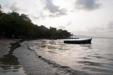 Общежитие Oasis