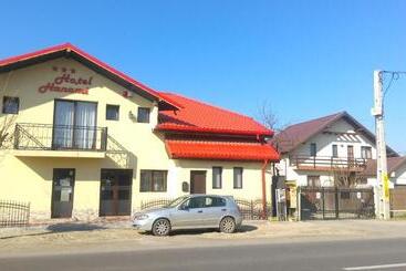 호스텔 Pensiunea Hanami