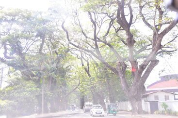 تختخواب و صبحانه Colombo Villa At Cambridge Place