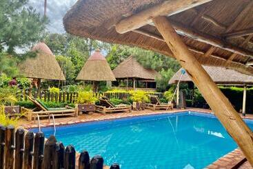 تختخواب و صبحانه Elite Backpackers Services