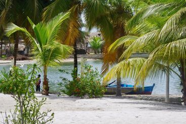 Отель Cool Mafia