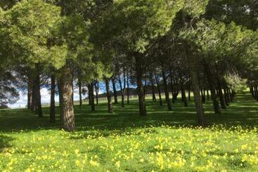 צימר Barossa White House The West Wing