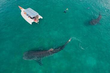 مبيت وإفطار Ibizza Inn