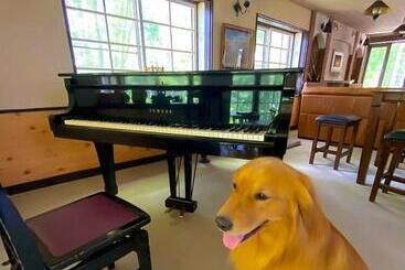 민박 Panketo Lodge & Yoga Studio