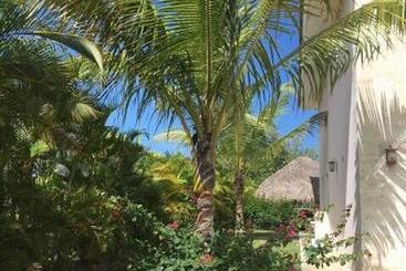 تختخواب و صبحانه Cocotal Bavaro 460
