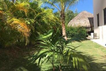 تختخواب و صبحانه Cocotal Bavaro 460