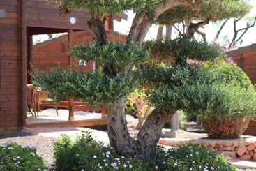 Resort Camping Ribamar