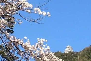 ホテル Grand Vert Gizan