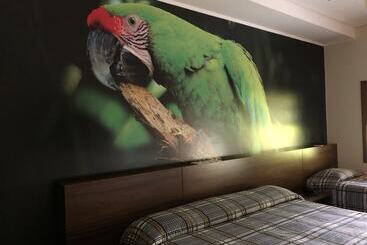 בית מלון כפרי Resort Fazenda Sao João