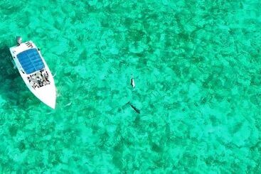 منتجع Playa Del Sol