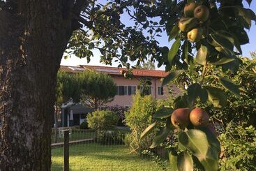 مبيت وإفطار Cascina Castagneto