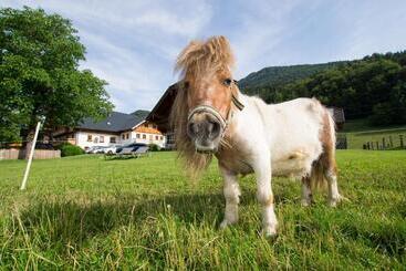住宿加早餐  Hauslhof