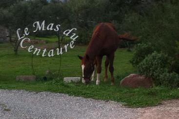 مبيت وإفطار Le Mas Du Centaure