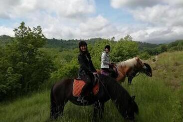 צימר La Ratatouille Agriturismo