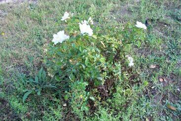 مبيت وإفطار Le Pre Karvain