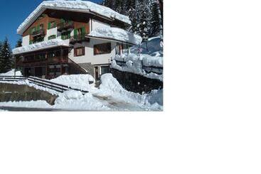 Отель Albergo Pineta