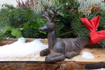 בית מלון כפרי B&b Martha