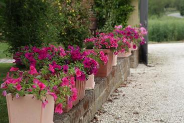 Rosemarie B&b