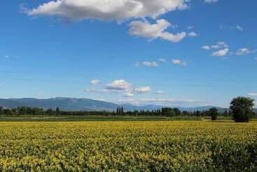 Bed and Breakfast Il Fienile Di Assisi