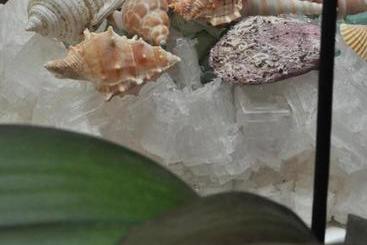 住宿加早餐  Le Margherite