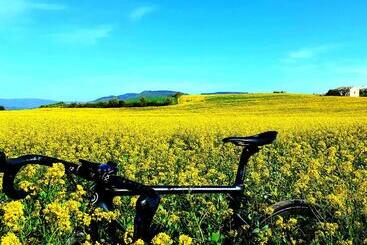 Nocleg ze śniadaniem A Mo Casa