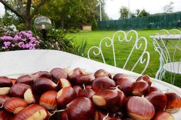 צימר Bed&breakfast La Siepe