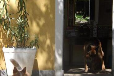 Villa Mirano Bed & Breakfast