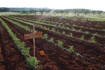مبيت وإفطار Masseria Galatea Agriturismo