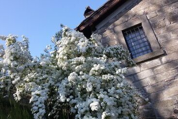 צימר Podere Pontepietra