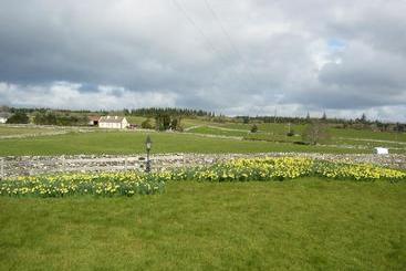 Inishfree House B&b