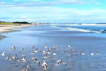 מוטל Ocean Acres Ogunquit