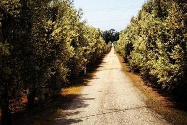 تختخواب و صبحانه Masseria Perronello Country House