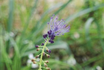 צימר Conca Marina