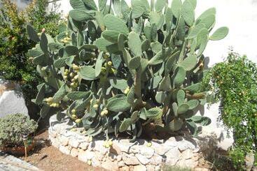 민박 Le Schiavelle