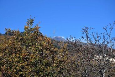 민박 Villa Hirschen