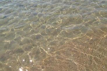 هتل Neptunus