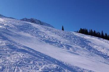ホテル Alpengasthof Löwen