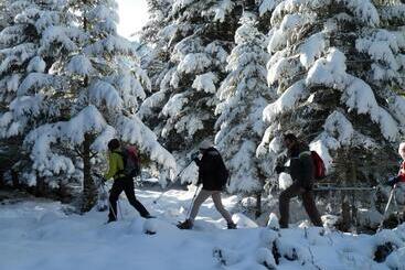 فندق Hôtel Saint Vincent