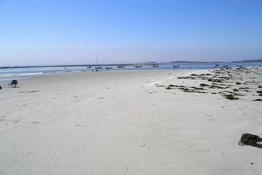 Ocean Woods Resort